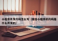 小程序开发代码怎么写（微信小程序的代码是什么开发的）