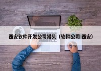 西安软件开发公司猎头（软件公司 西安）