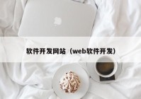 软件开发网站（web软件开发）