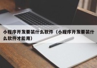 小程序开发要装什么软件（小程序开发要装什么软件才能用）